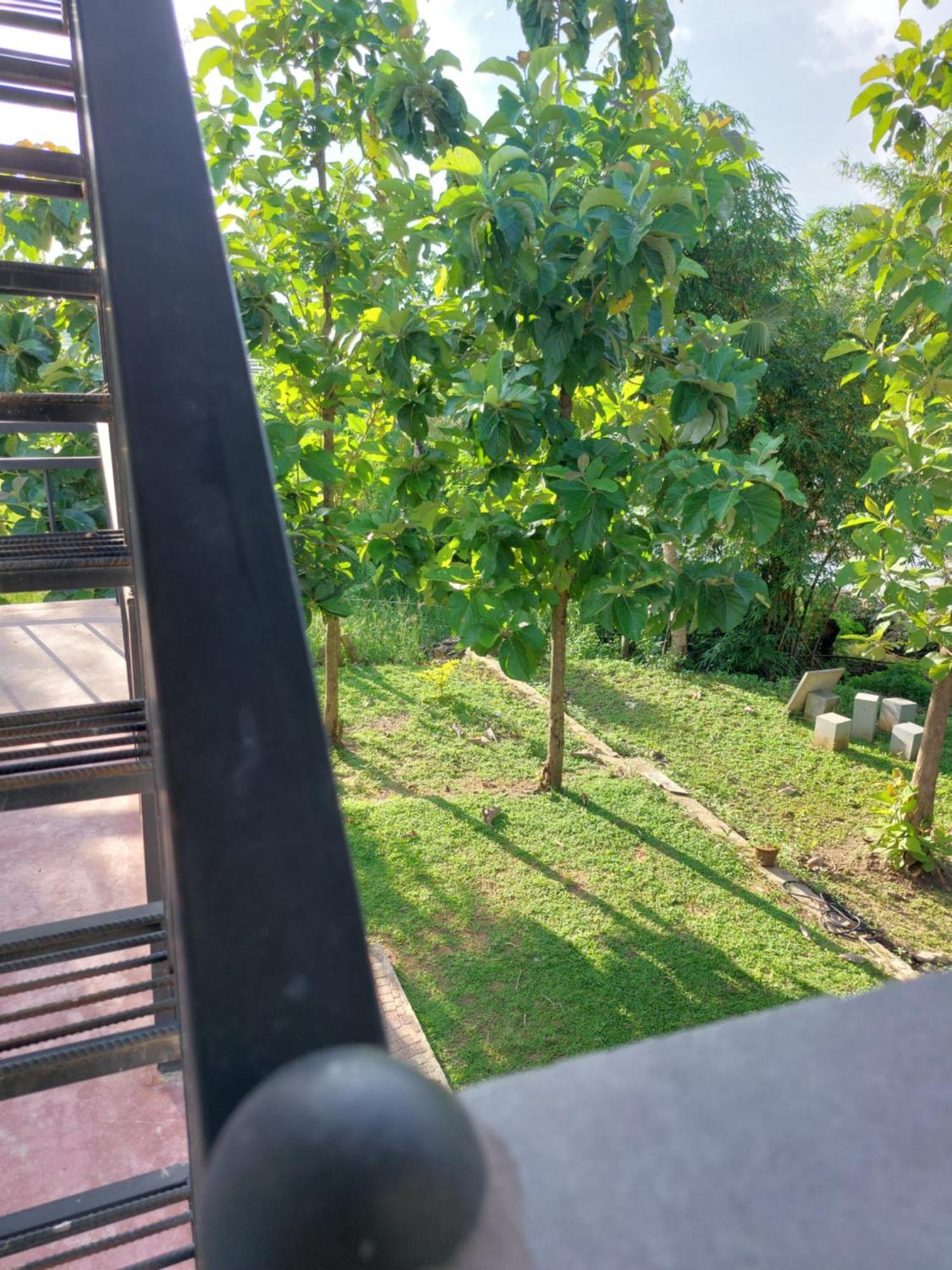 Green Shield Resort Anurâdhapura Extérieur photo